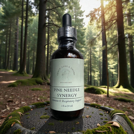 PINE NEEDLE SYNERGY TINCTURE | Immune + Respiratory Support